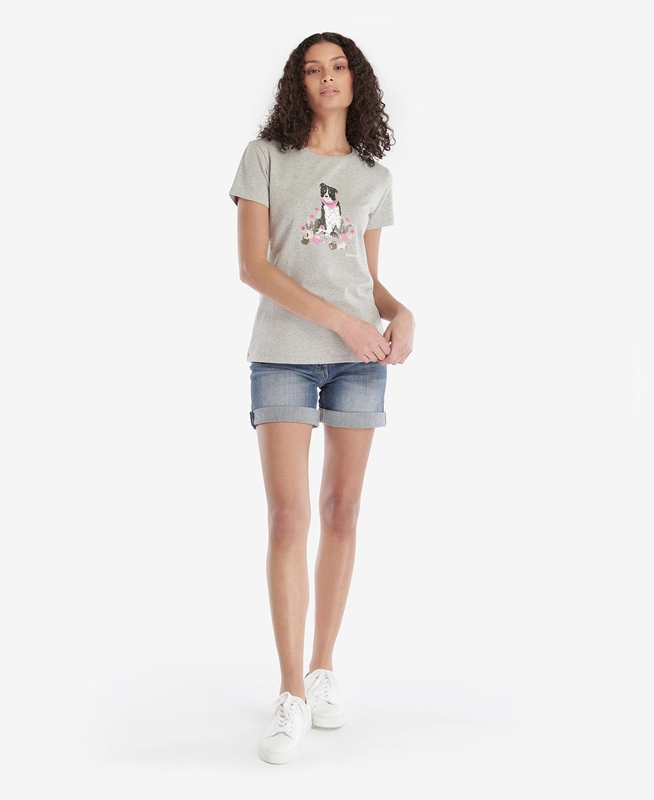 Camiseta Barbour Beacons Mujer Gris | 126574-MXN