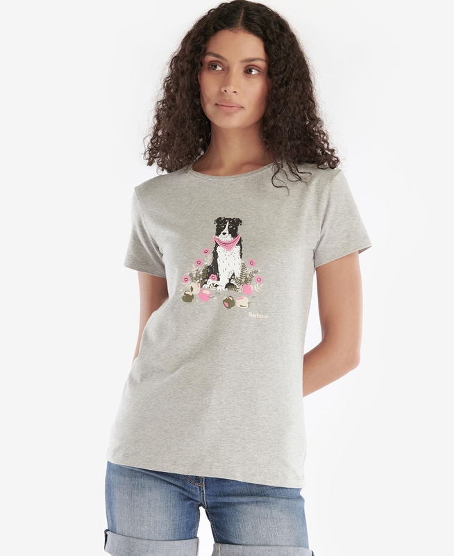 Camiseta Barbour Beacons Mujer Gris | 126574-MXN