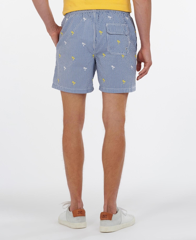 Pantalon Barbour Palm Stripe Swim Hombre Azul Marino | 489607-QZK