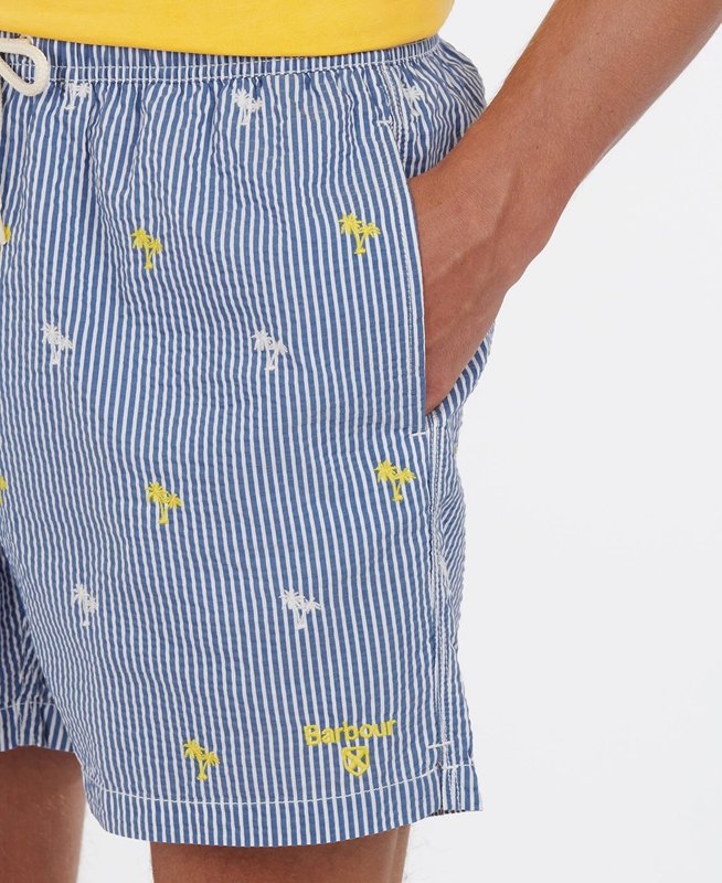 Pantalon Barbour Palm Stripe Swim Hombre Azul Marino | 489607-QZK