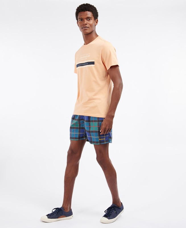 Pantalon Barbour Tartan Swim Hombre Multicolor | 254189-WOG