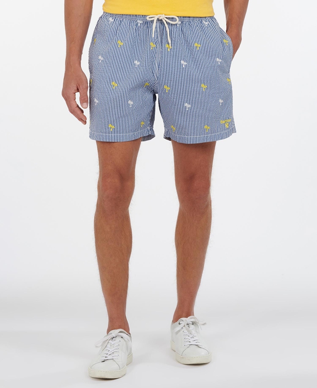 Pantalon Barbour Palm Stripe Swim Hombre Azul Marino | 489607-QZK